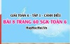 Giải bài 8 trang 60 Toán 6 Tập 1 SGK Cánh Diều